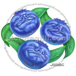 funny blueberries